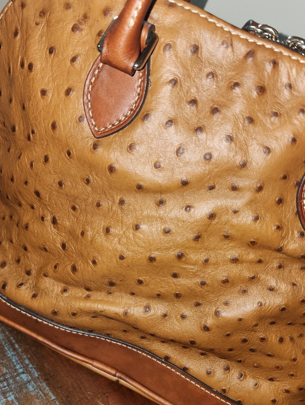 Dooney & Bourke Tan Brown Ostrich Embossed Satchel Purse Project
